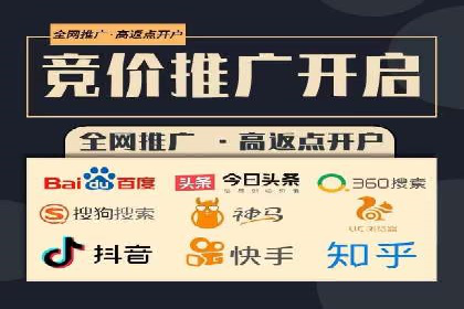 百度竞价广告运营全解析：成功案例揭秘